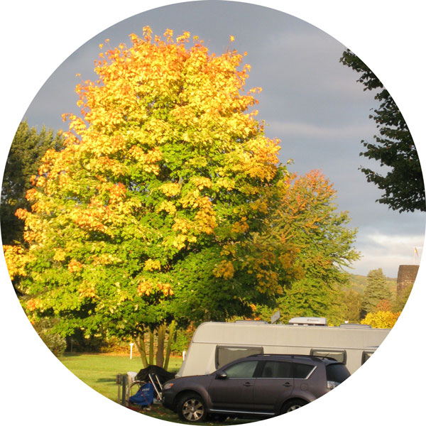 Camping Goldene Meile Herbstangebot